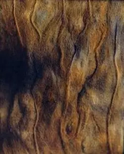 Freya Dixon - Rock Strata Freya Dixon - Rock Strata